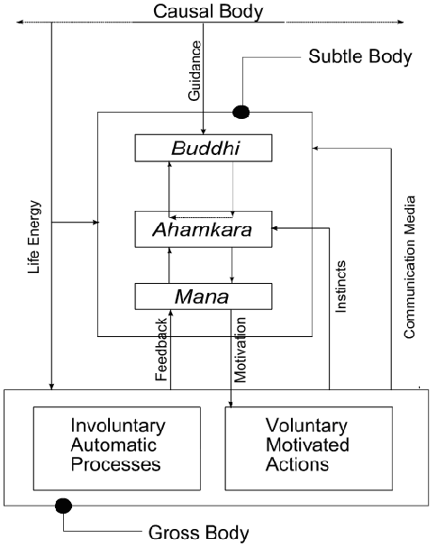 Samkhya Model of how a a typical human being behaves in the world Samkhya Model of how a a typical human being behaves in the world