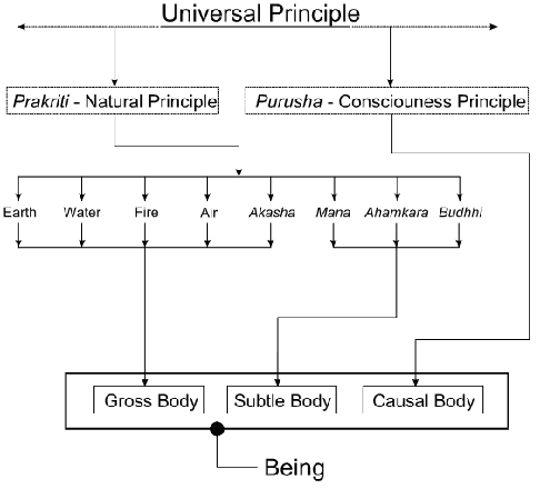 Successively gross principles involved in the process of manifestation according to the Samkhya Philosophy Successively gross principles involved in the process of manifestation